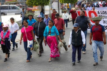 Contra El Despojo Resistir Desde La Alegr A Y La Hermandad De Los