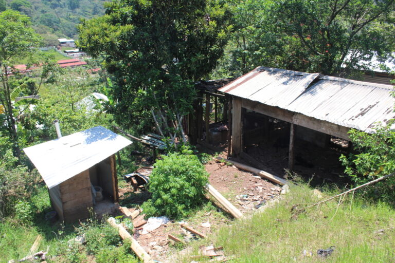 Regresan Familias Desplazadas Pertenecientes A Las Abejas De Acteal A